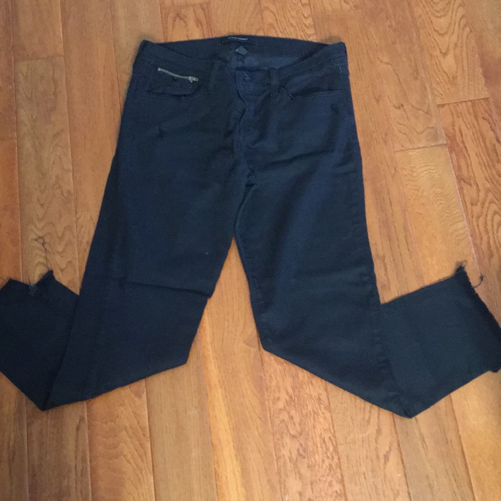 Flying Monkey - image 1